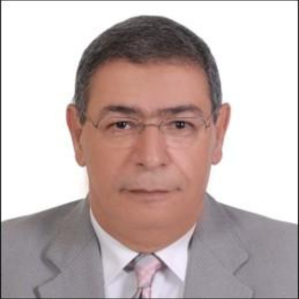 Khalil Hassan Khalil 
