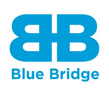 Blue Bridge Group AI
